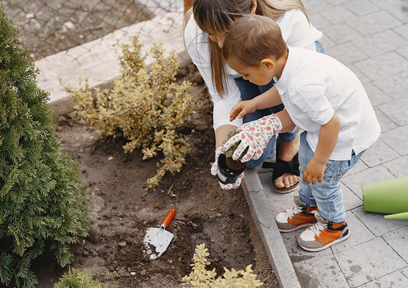 Jardinage en famille : activité pour l'été