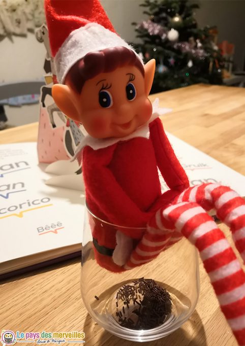 Les Farces De Notre Lutin De Noël (Tradition Elf On The Shelf)