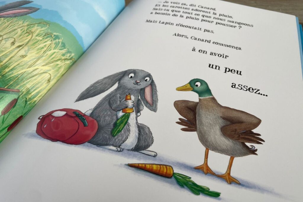 dessin album jeunesse lapin et canard