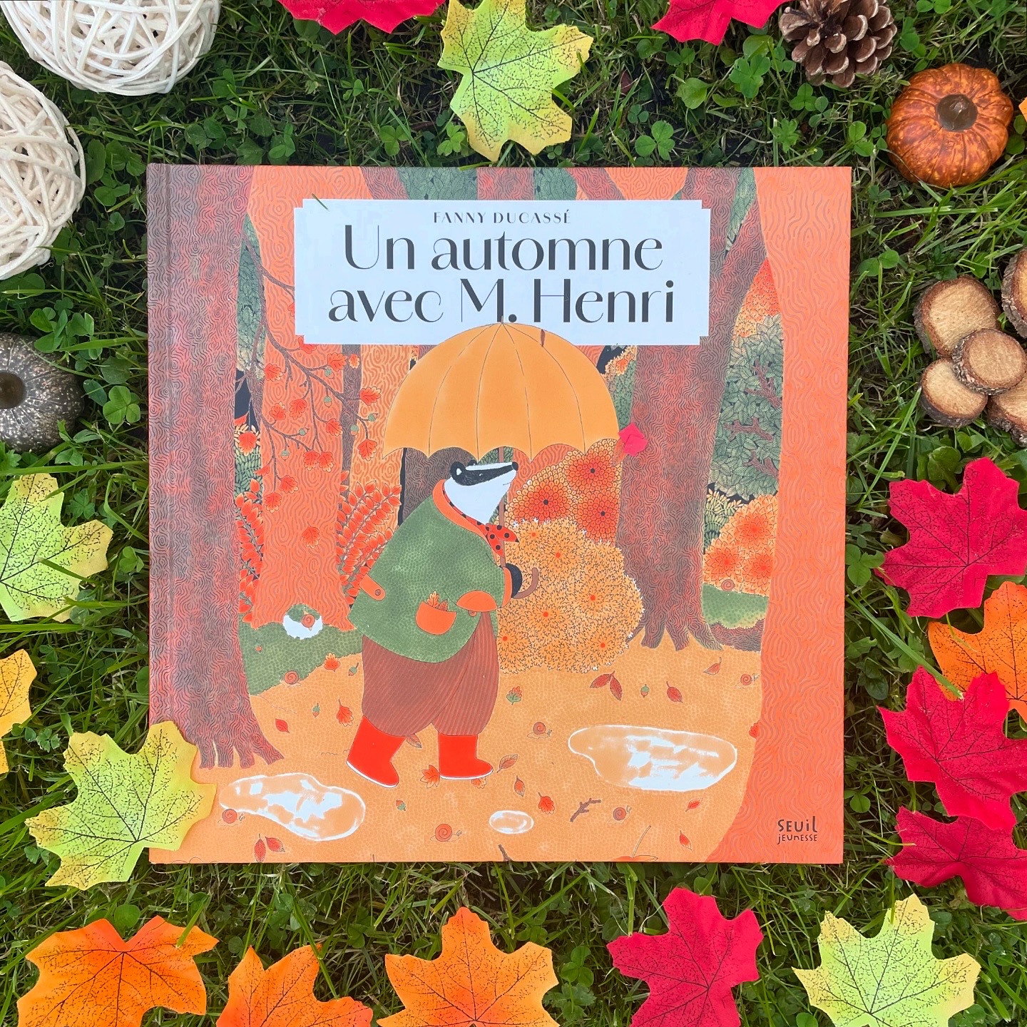 Un automne avec M. Henri